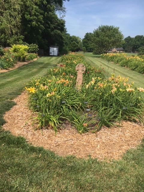 seedling bed 3